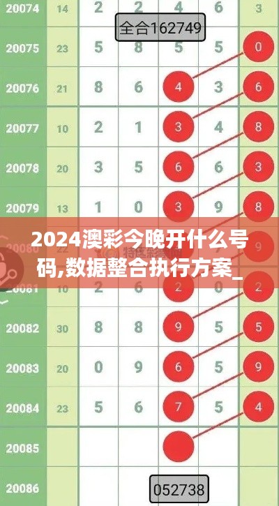 2024澳彩今晚开什么号码,数据整合执行方案_复刻款7.333