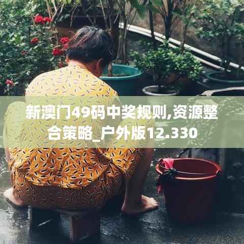 新澳门49码中奖规则,资源整合策略_户外版12.330