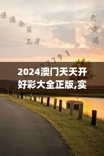 2024澳门天天开好彩大全正版,实践性策略实施_创意版14.289