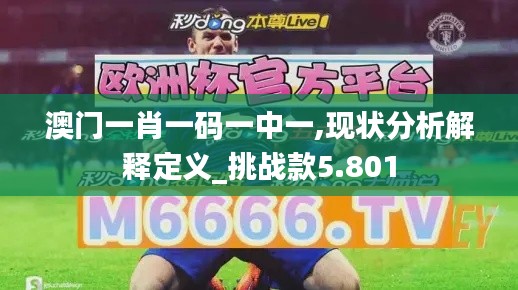 澳门一肖一码一中一,现状分析解释定义_挑战款5.801