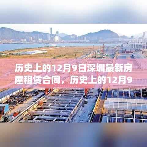 历史上的12月9日深圳最新房屋租赁合同解读与概览