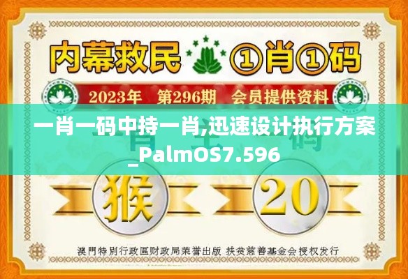 一肖一码中持一肖,迅速设计执行方案_PalmOS7.596