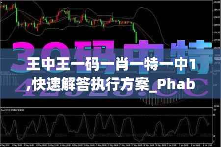 王中王一码一肖一特一中1,快速解答执行方案_Phablet14.614