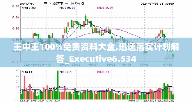 王中王100%免费资料大全,迅速落实计划解答_Executive6.534