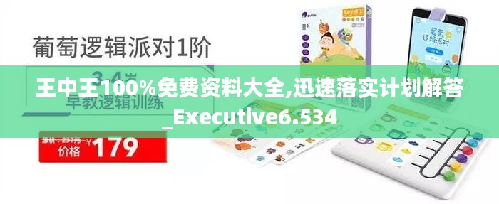 王中王100%免费资料大全,迅速落实计划解答_Executive6.534