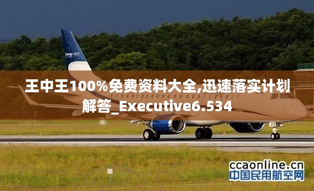 王中王100%免费资料大全,迅速落实计划解答_Executive6.534