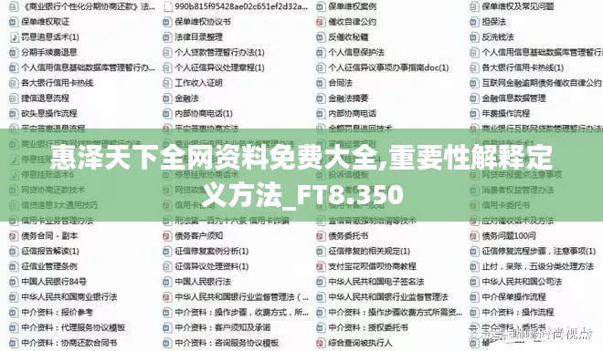 惠泽天下全网资料免费大全,重要性解释定义方法_FT8.350