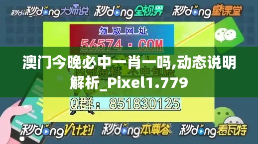 澳门今晚必中一肖一吗,动态说明解析_Pixel1.779