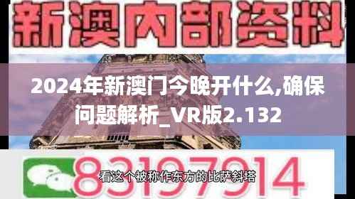 2024年新澳门今晚开什么,确保问题解析_VR版2.132