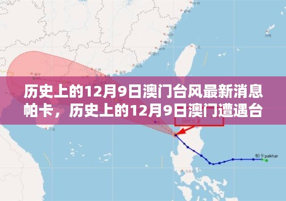 历史上的12月9日澳门遭遇台风帕卡，最新消息与影响分析
