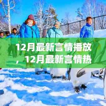 12月言情热播风暴，甜蜜爱恋温暖整个冬季