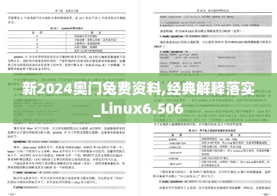 新2024奥门兔费资料,经典解释落实_Linux6.506