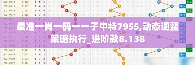 最准一肖一码一一子中特7955,动态调整策略执行_进阶款8.138