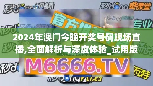2024年澳门今晚开奖号码现场直播,全面解析与深度体验_试用版3.101