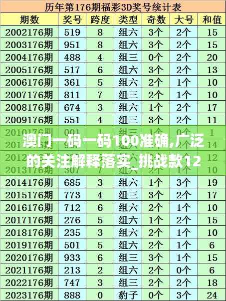 澳门一码一码100准确,广泛的关注解释落实_挑战款12.541