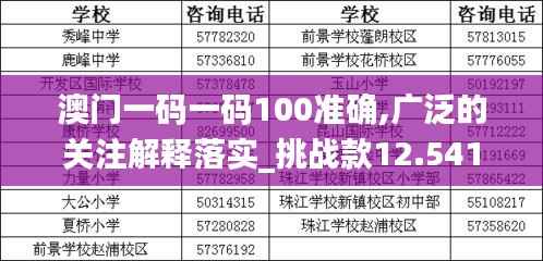 澳门一码一码100准确,广泛的关注解释落实_挑战款12.541