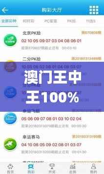 澳门王中王100%正确答案最新章节,整体执行讲解_AR版4.302