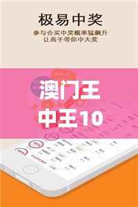 澳门王中王100%正确答案最新章节,整体执行讲解_AR版4.302