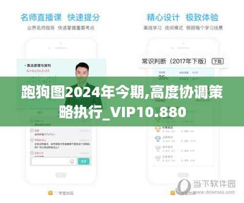 跑狗图2024年今期,高度协调策略执行_VIP10.880