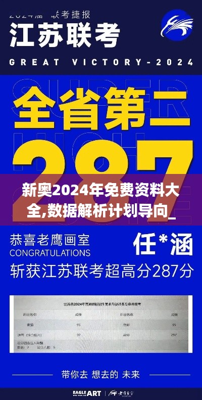 新奥2024年免费资料大全,数据解析计划导向_DX版16.255