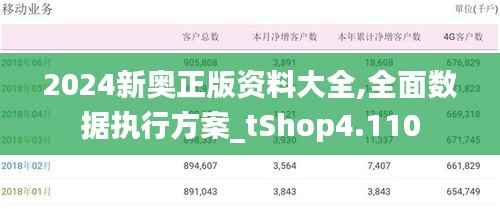 2024新奥正版资料大全,全面数据执行方案_tShop4.110