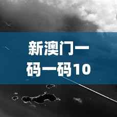 新澳门一码一码100准,经验解答解释落实_影像版9.798
