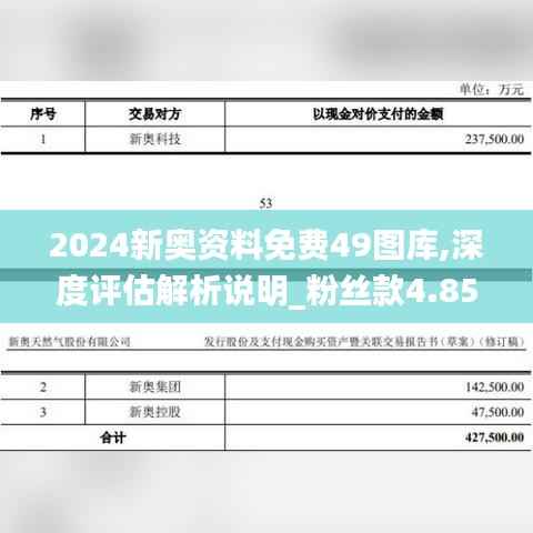 2024新奥资料免费49图库,深度评估解析说明_粉丝款4.853