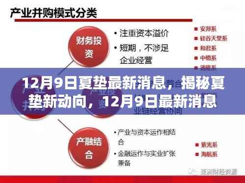 揭秘夏垫新动向，最新消息速递（12月9日更新）