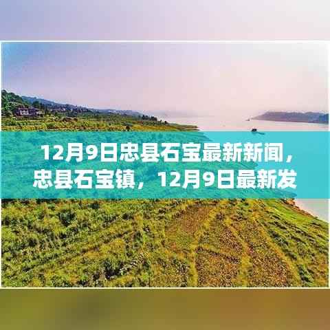 忠县石宝镇热点新闻聚焦,最新发展动态及热点新闻(12月9日)