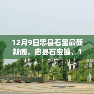 忠县石宝镇热点新闻聚焦,最新发展动态及热点新闻(12月9日)
