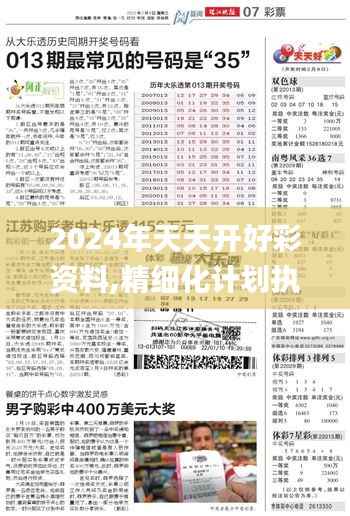 2024年天天开好彩资料,精细化计划执行_高级款9.874