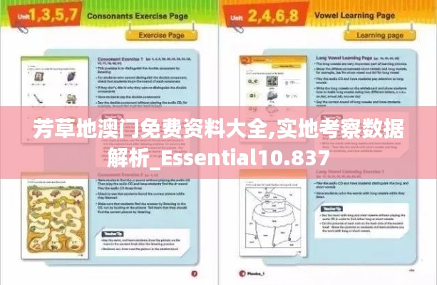 芳草地澳门免费资料大全,实地考察数据解析_Essential10.837