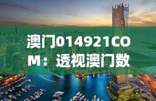 澳门014921COM:透视澳门数字世界的深层意义