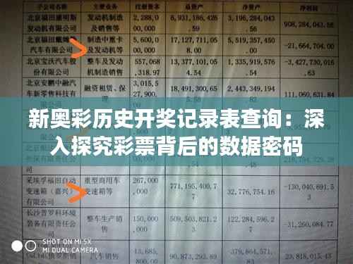 新奥彩历史开奖记录表查询:深入探究彩票背后的数据密码