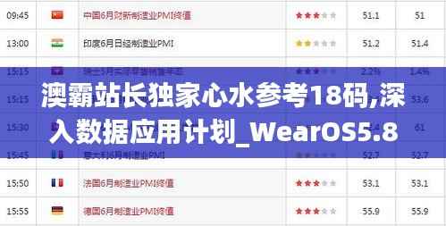 澳霸站长独家心水参考18码,深入数据应用计划_WearOS5.891