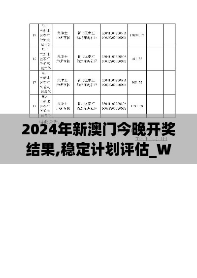 2024年新澳门今晚开奖结果,稳定计划评估_WP9.798