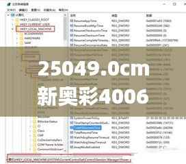 25049.0cm新奥彩40063,现状分析说明_SE版10.640