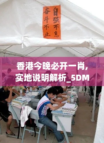 香港今晚必开一肖,实地说明解析_5DM3.836