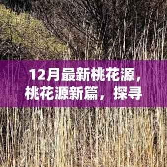 探寻十二月最新桃花源秘境，桃花源新篇开启