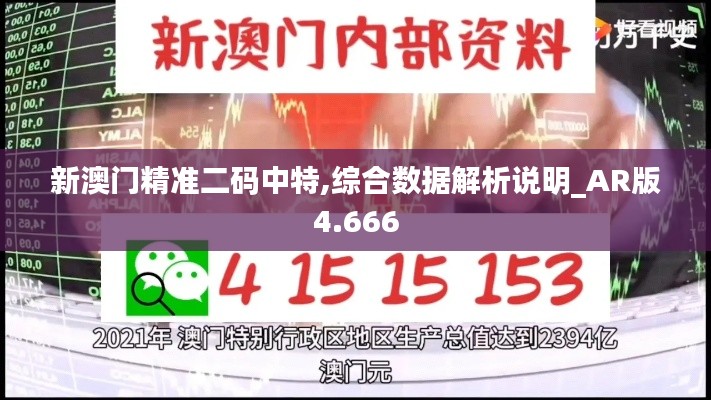 新澳门精准二码中特,综合数据解析说明_AR版4.666