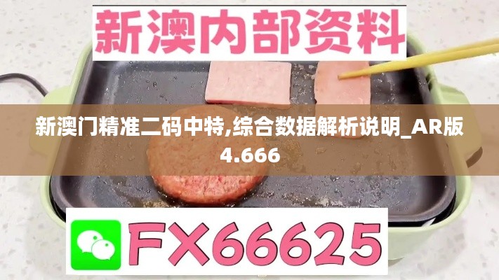 新澳门精准二码中特,综合数据解析说明_AR版4.666