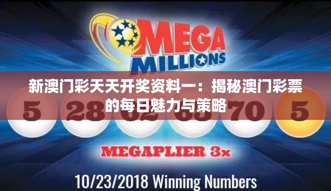 新澳门彩天天开奖资料一：揭秘澳门彩票的每日魅力与策略