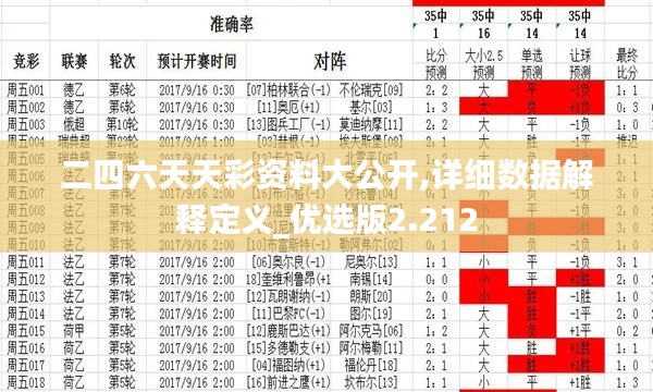 二四六天天彩资料大公开,详细数据解释定义_优选版2.212