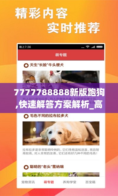 7777788888新版跑狗,快速解答方案解析_高级版5.803