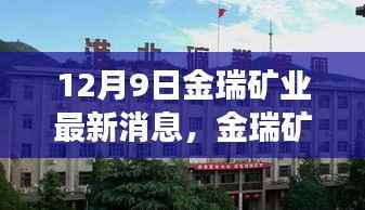 金瑞矿业最新动态深度解析与行业展望(12月9日更新消息揭秘)