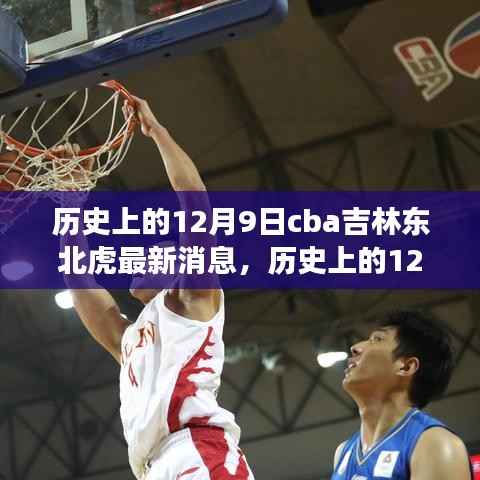 历史上的12月9日CBA吉林东北虎的最新消息与未来展望