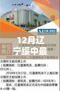 12月辽宁绥中热门职位与最新招聘信息全解析