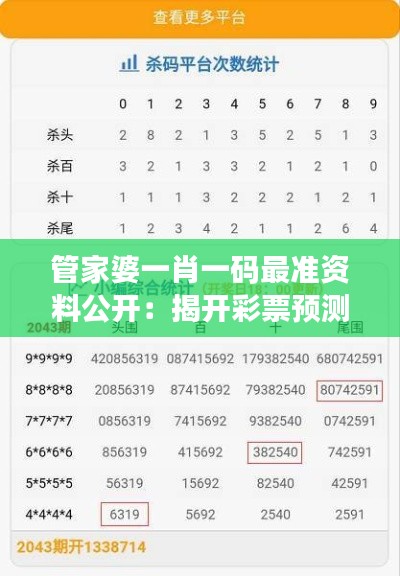 管家婆一肖一码最准资料公开:揭开彩票预测的神秘面纱