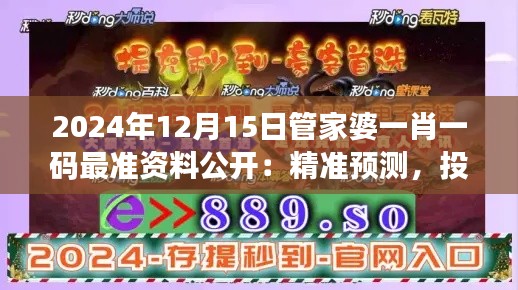 2024年12月15日管家婆一肖一码最准资料公开：精准预测，投资新风向