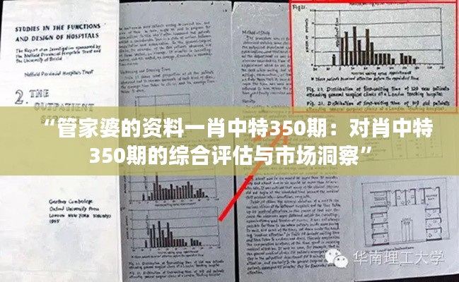 “管家婆的资料一肖中特350期：对肖中特350期的综合评估与市场洞察”